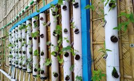 We give technical support on Hydroponics