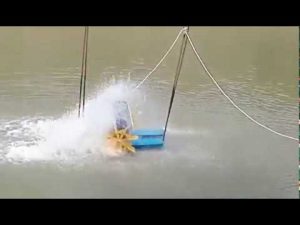 AquaBangla Paddle Wheel Aerator| Aerator| Aquabangla