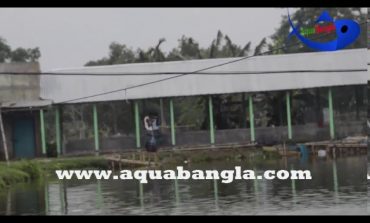 Automatic fish feeder use in Bangladesh to increase of fish production