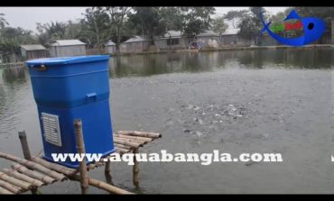 Aqua Bangla bring the latest Automatic fish feeder for Shrimp, tilapia and catfish farm