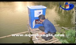 Smart Fish Feeder