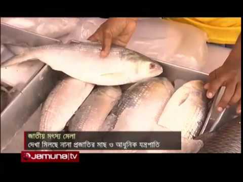 Smart Fish Feeder| Automatic Fish Feeder| Aquabangla Technology in BD