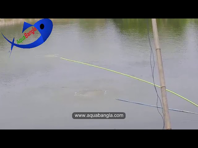 Farmer are benefited using Pond Diffuser in Bangladesh.