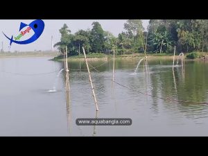 The Farmer of Gazipur District are using this special technique durring water adding to their ponds.