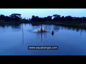 প্যাডেল হুইল এ্যারেটর Paddle Wheel Aerator Use in Bangladesh