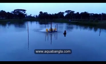 প্যাডেল হুইল এ্যারেটর Paddle Wheel Aerator Use in Bangladesh