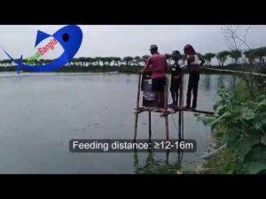 Automatic Fish Feeder| অটোমেটিক ফিস ফিডার