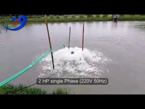 Aqua Bangla Surge Aerator| Push Aerator