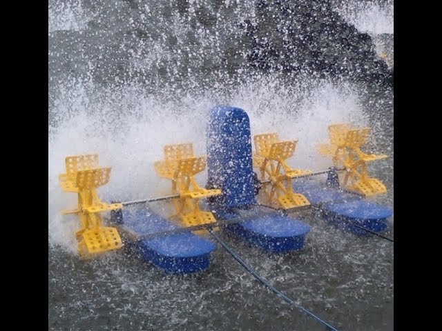 একোয়া বাংলা প্যাডেল হুইল এয়ারেটর নারায়নগঞ্জ এর আরাইহাজারে - Paddle wheel aerator