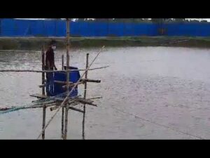Automatic fish Feeder in Bangldesh